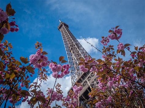 effel tower sex|12 Must